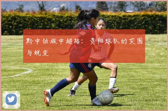 黔中劲旅中超路：贵阳球队的突围与蜕变