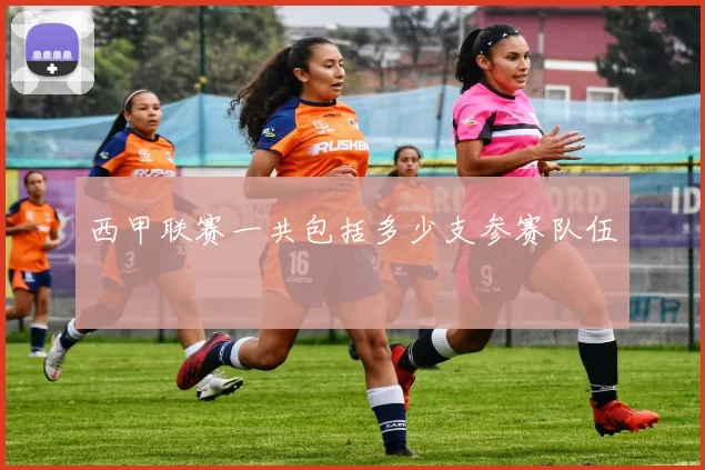 西甲联赛一共包括多少支参赛队伍