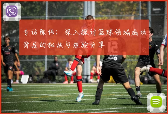 专访陈伟：深入探讨篮球领域成功背后的秘诀与经验分享