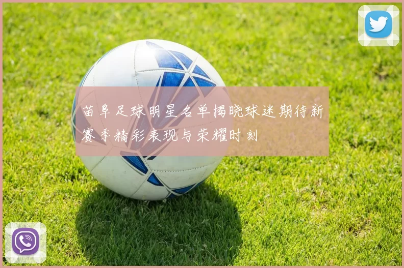 苗阜足球明星名单揭晓球迷期待新赛季精彩表现与荣耀时刻