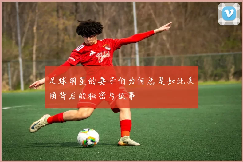 足球明星的妻子们为何总是如此美丽背后的秘密与故事