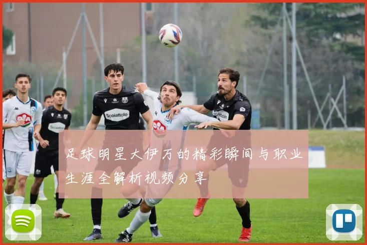 足球明星大伊万的精彩瞬间与职业生涯全解析视频分享