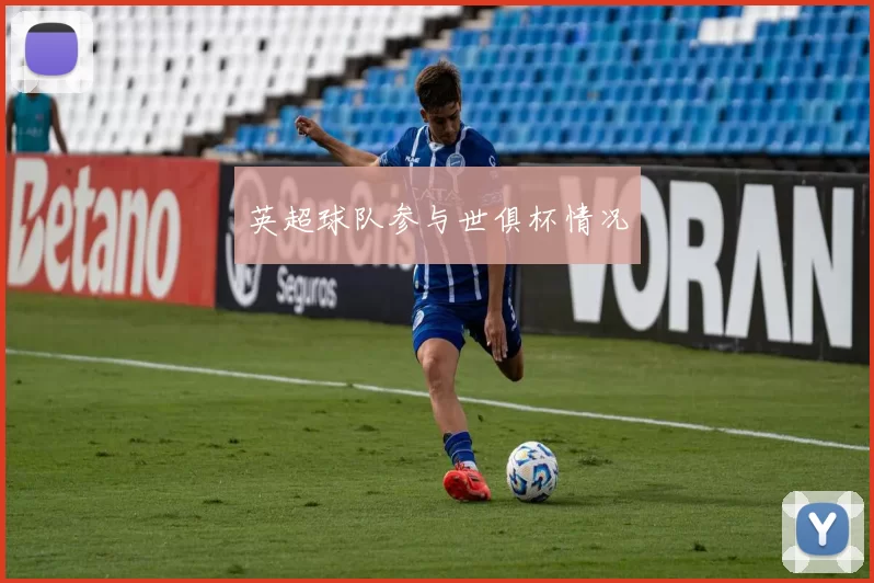 英超球队参与世俱杯情况