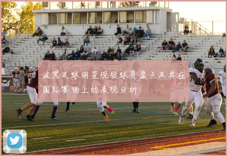 波黑足球明星现役球员盘点及其在国际赛场上的表现分析