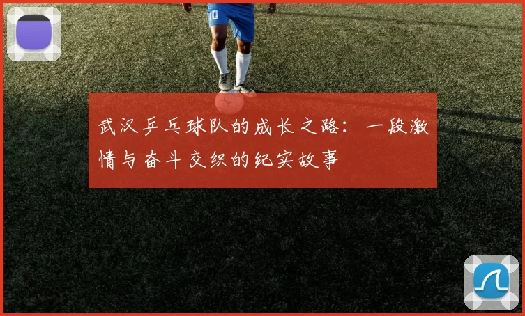 武汉乒乓球队的成长之路：一段激情与奋斗交织的纪实故事