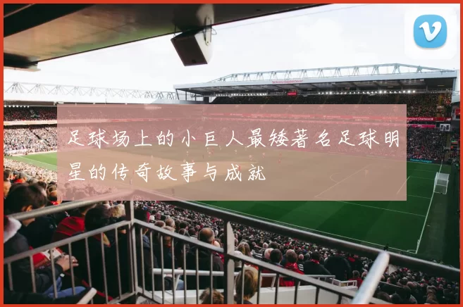 足球场上的小巨人最矮著名足球明星的传奇故事与成就