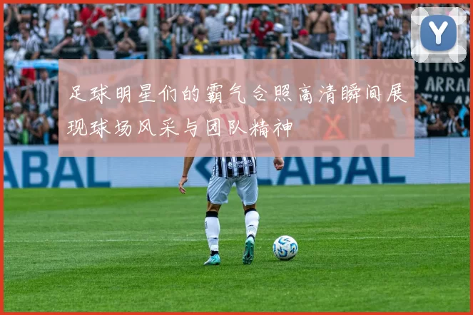 足球明星们的霸气合照高清瞬间展现球场风采与团队精神