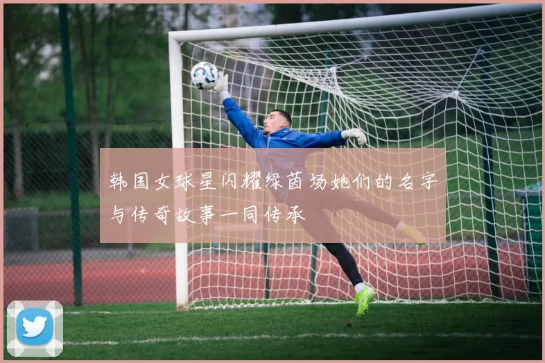 韩国女球星闪耀绿茵场她们的名字与传奇故事一同传承