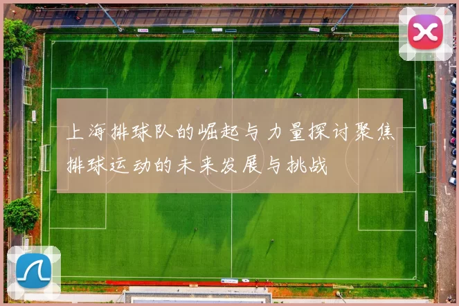 上海排球队的崛起与力量探讨聚焦排球运动的未来发展与挑战
