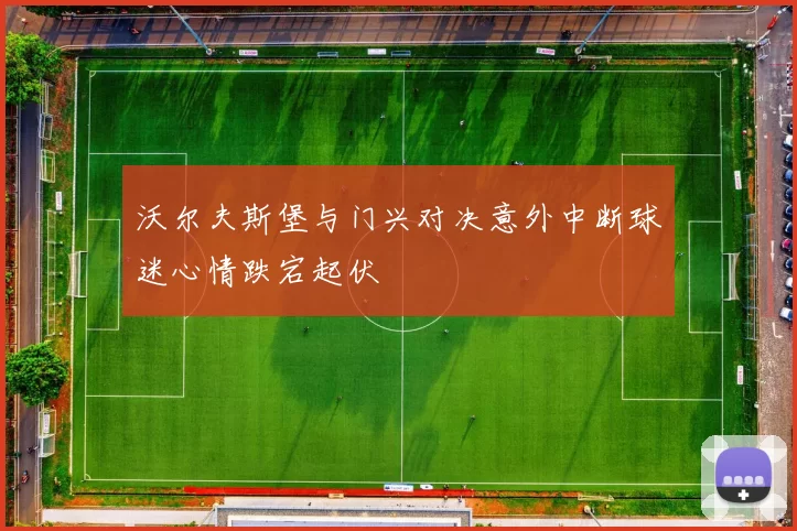 沃尔夫斯堡与门兴对决意外中断球迷心情跌宕起伏