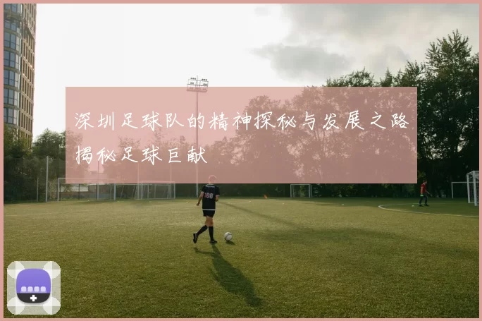 深圳足球队的精神探秘与发展之路揭秘足球巨献