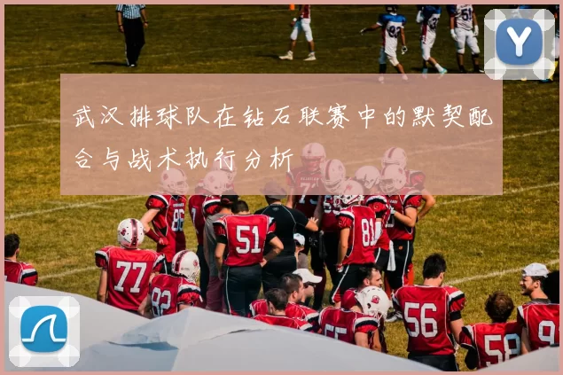 武汉排球队在钻石联赛中的默契配合与战术执行分析