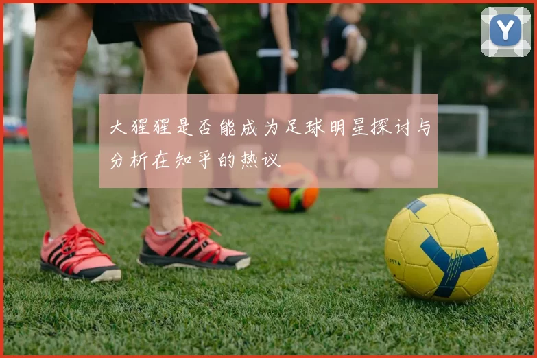大猩猩是否能成为足球明星探讨与分析在知乎的热议