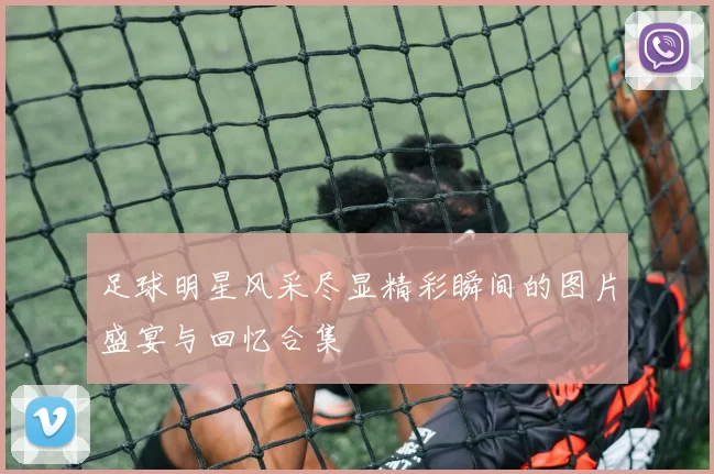 足球明星风采尽显精彩瞬间的图片盛宴与回忆合集