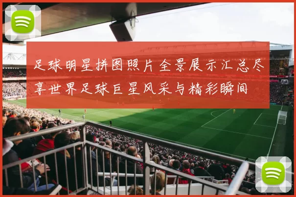 足球明星拼图照片全景展示汇总尽享世界足球巨星风采与精彩瞬间