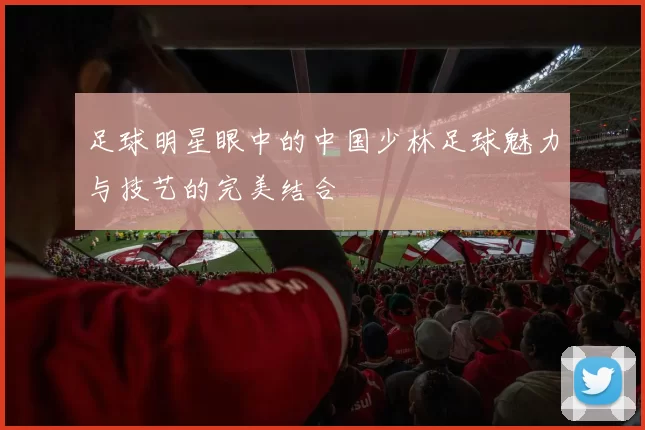 足球明星眼中的中国少林足球魅力与技艺的完美结合