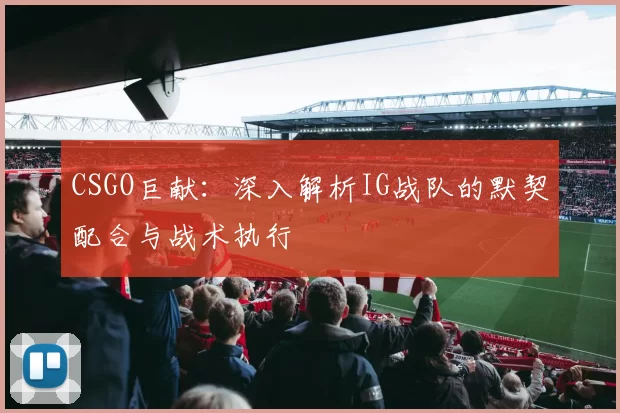 CSGO巨献：深入解析IG战队的默契配合与战术执行