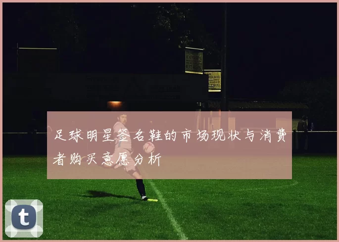 足球明星签名鞋的市场现状与消费者购买意愿分析